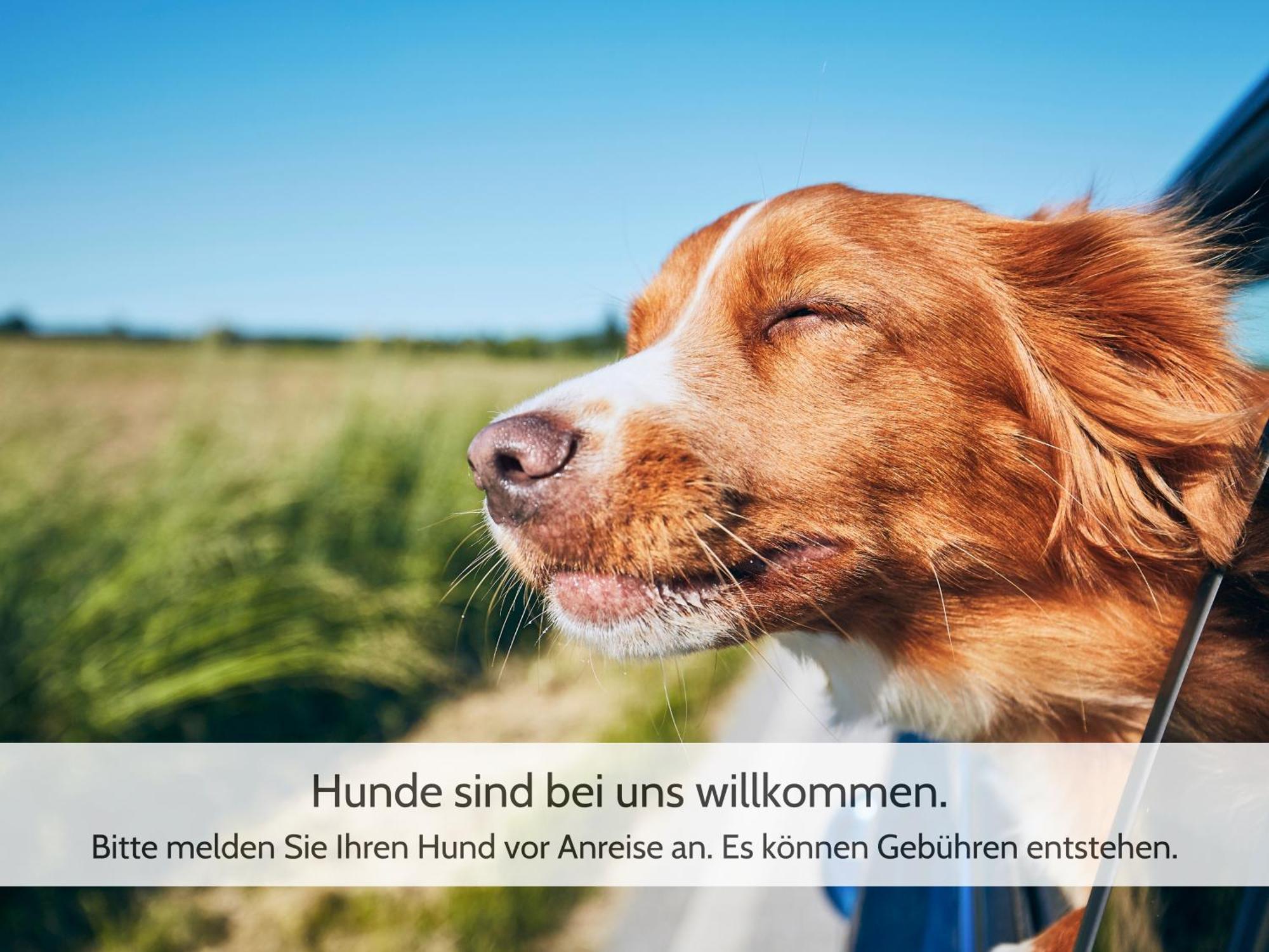 Harzvorland-Auszeit Fuer 2 & Hund & Natur Inklusive Harsleben Экстерьер фото